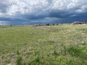 8725 N Ellicott Highway