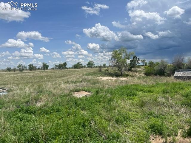 8725 N Ellicott Highway