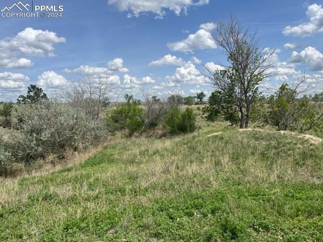 8725 N Ellicott Highway