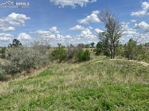 8725 N Ellicott Highway