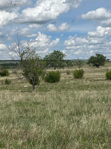 8725 N Ellicott Highway