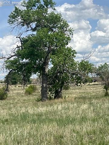 8725 N Ellicott Highway