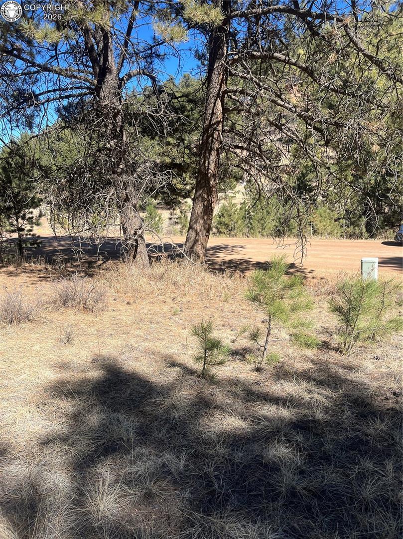 1777 Buttonwood Road