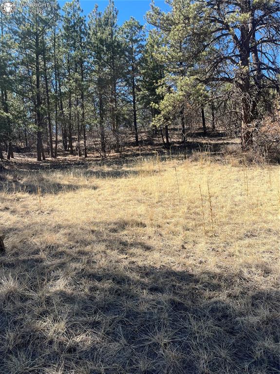 1777 Buttonwood Road