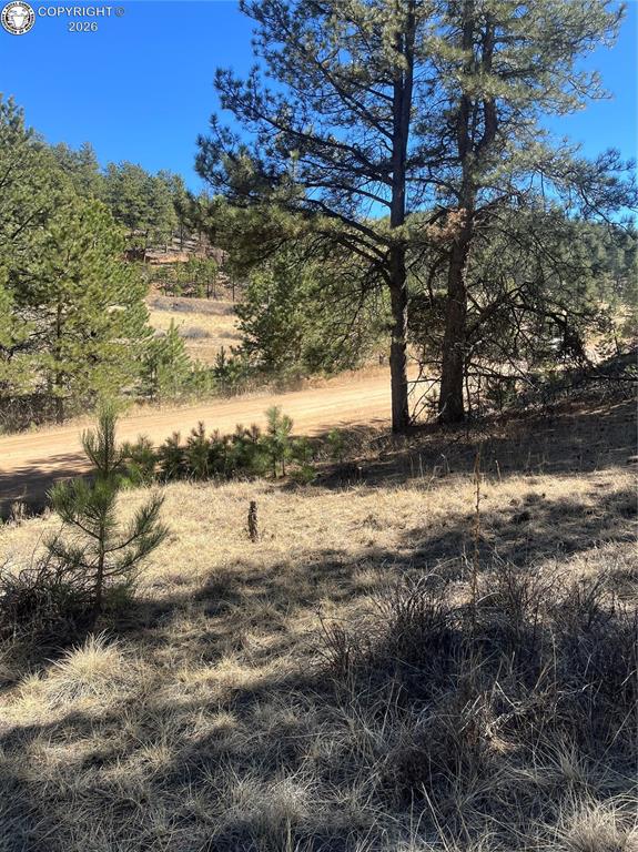 1777 Buttonwood Road