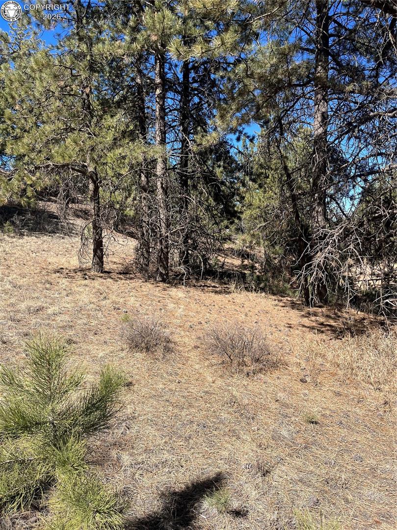 1777 Buttonwood Road