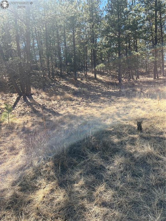 1777 Buttonwood Road