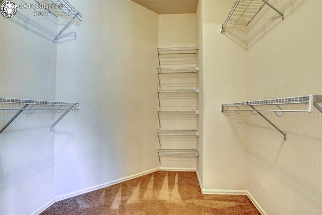 1007 Clyde Drive