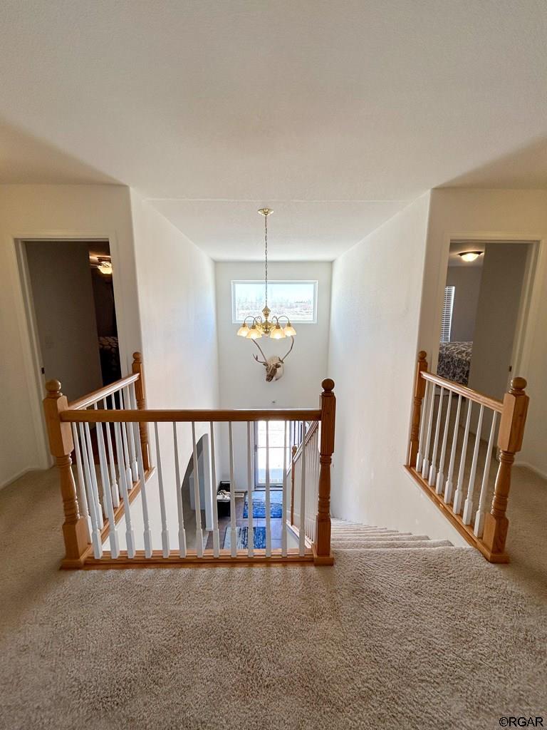 835 Sumo Avenue F