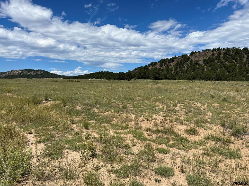 97 Pierce Gulch Road