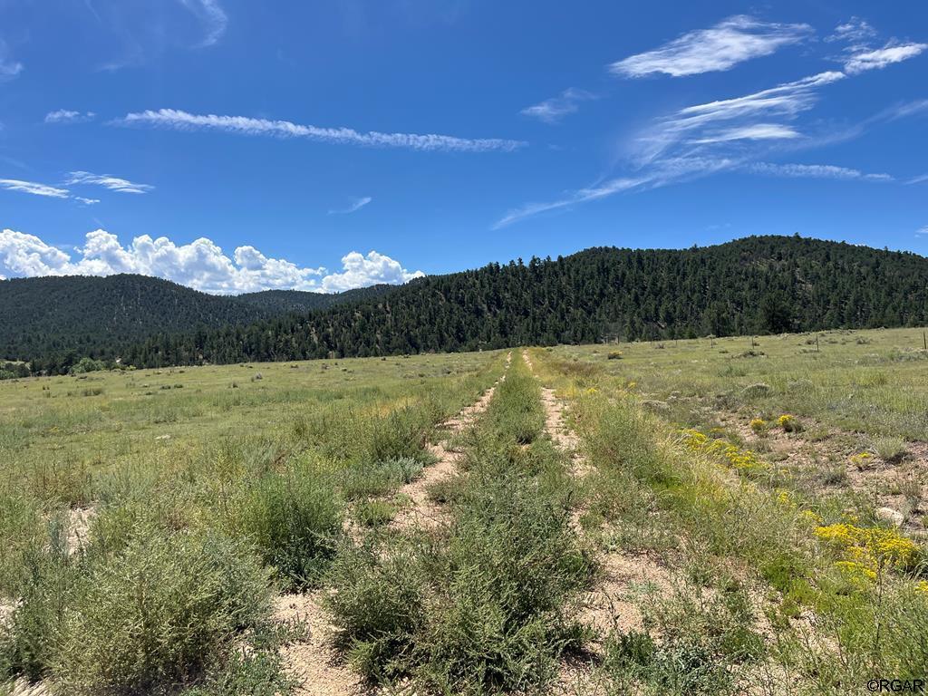 97 Pierce Gulch Road