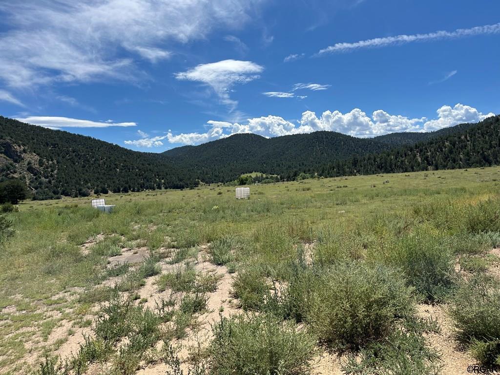 97 Pierce Gulch Road