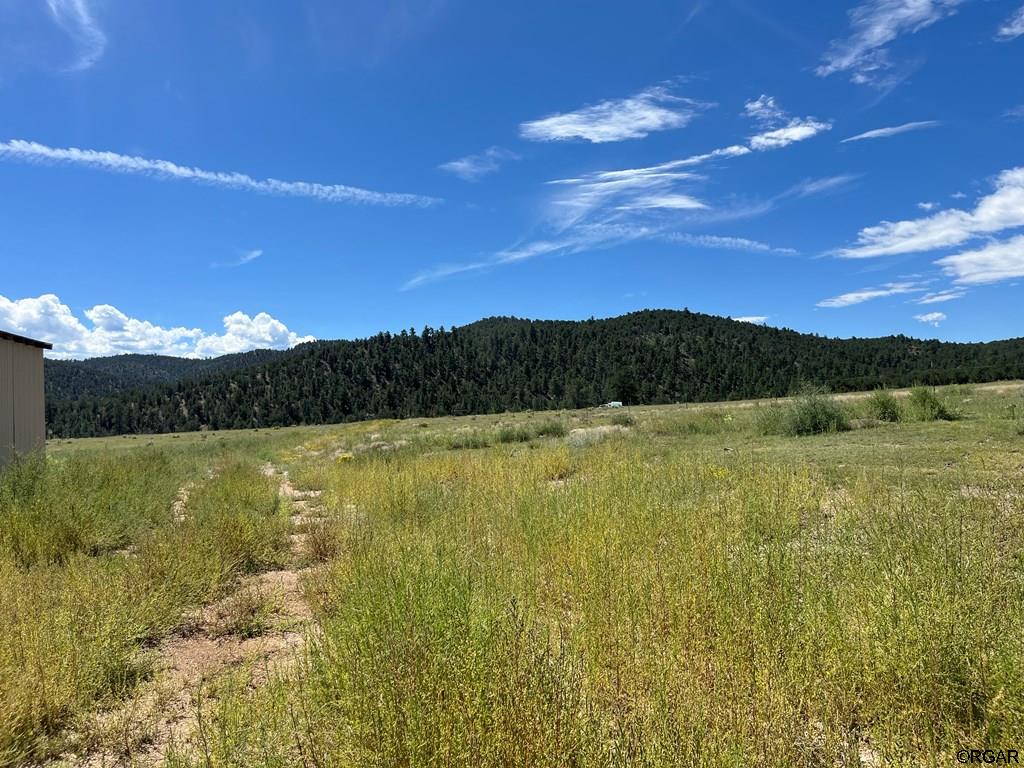 97 Pierce Gulch Road