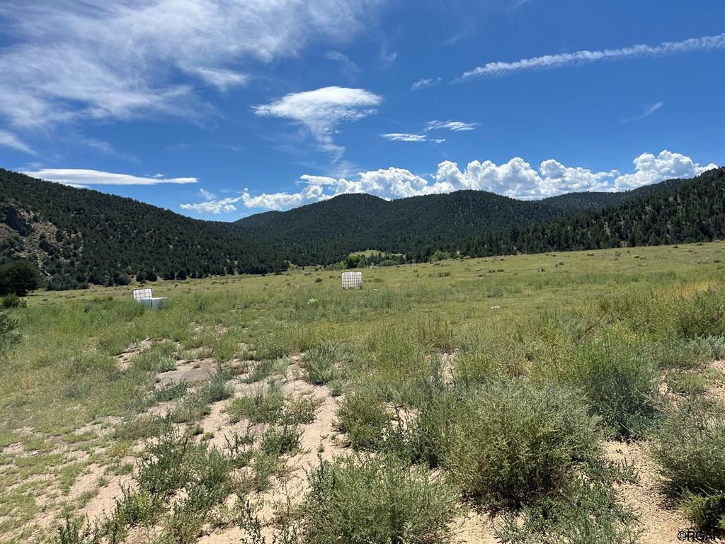 97 Pierce Gulch Road