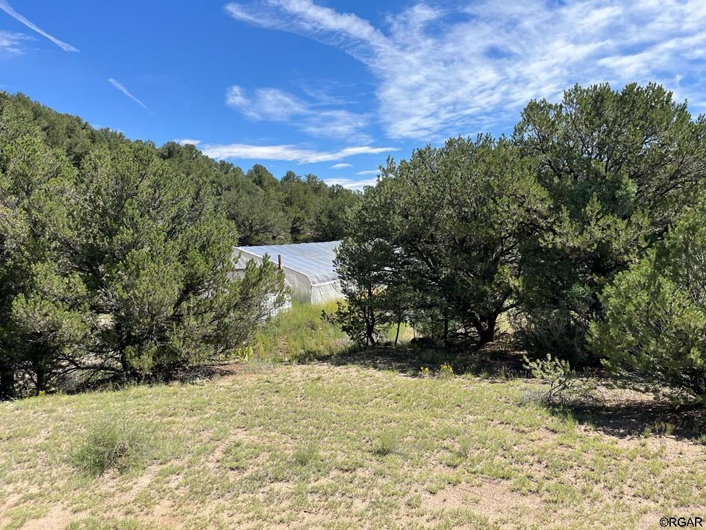 97 Pierce Gulch Road