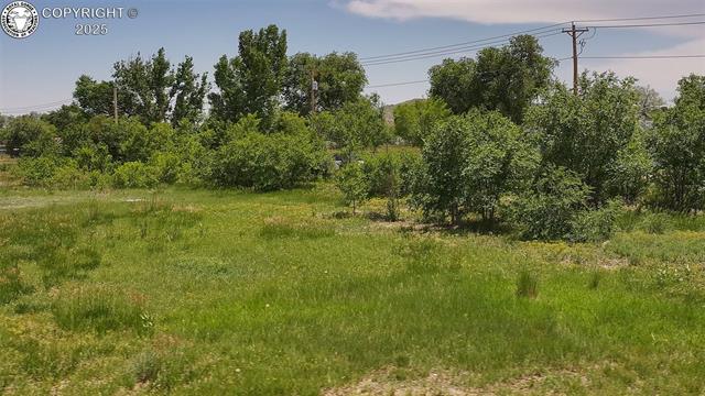 10201 Highway 115