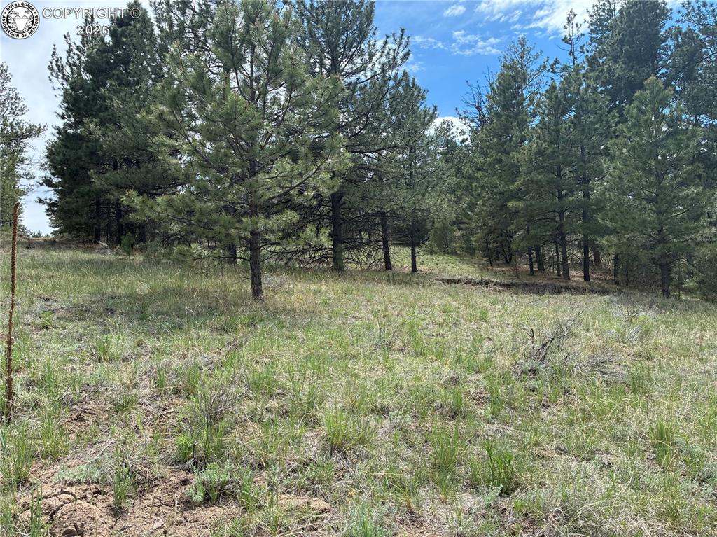 891 Driftwood Road