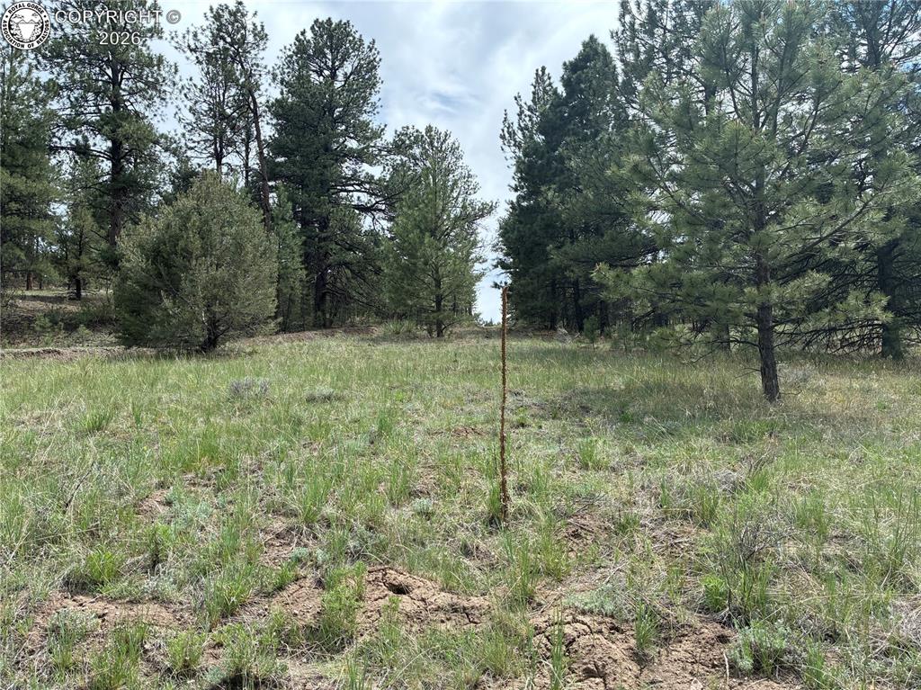891 Driftwood Road