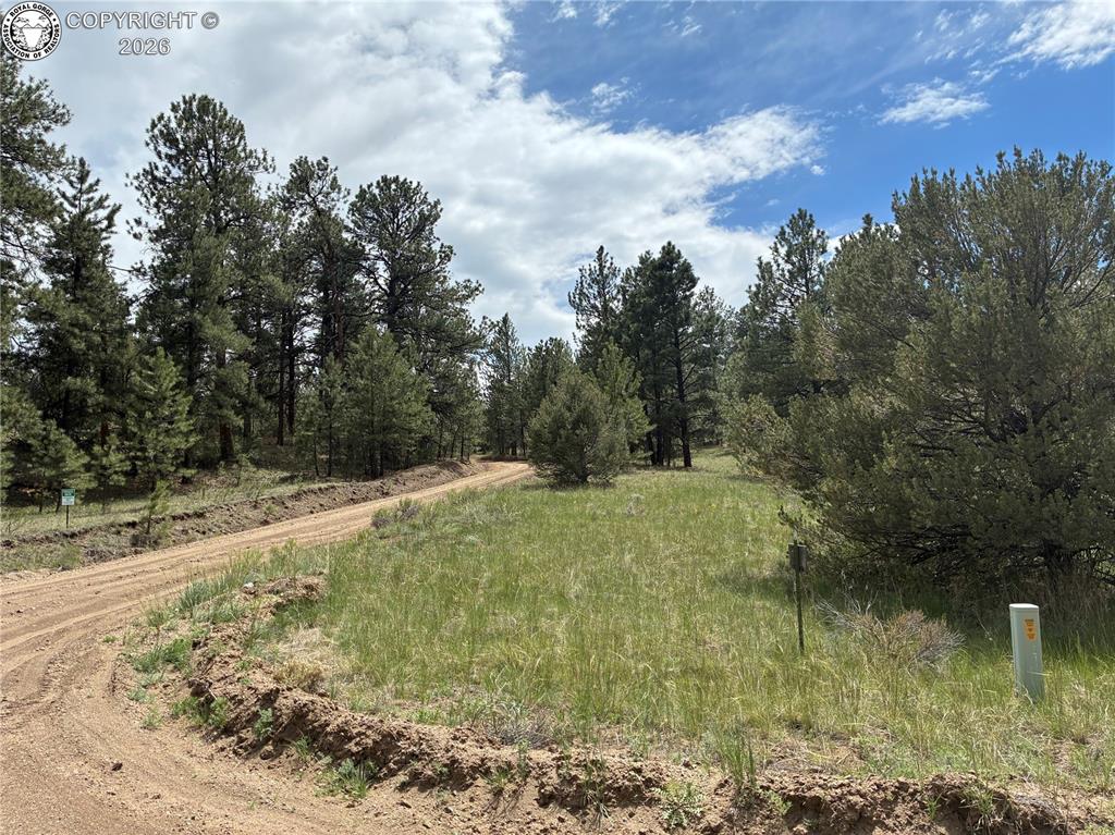 891 Driftwood Road