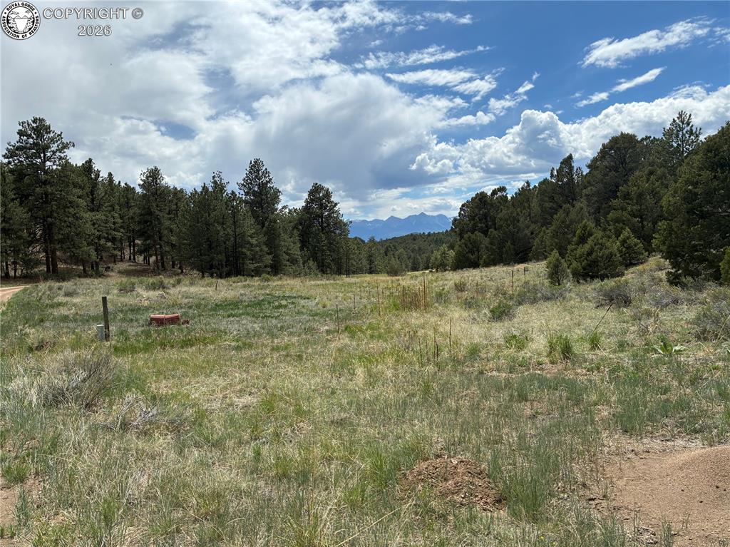 891 Driftwood Road