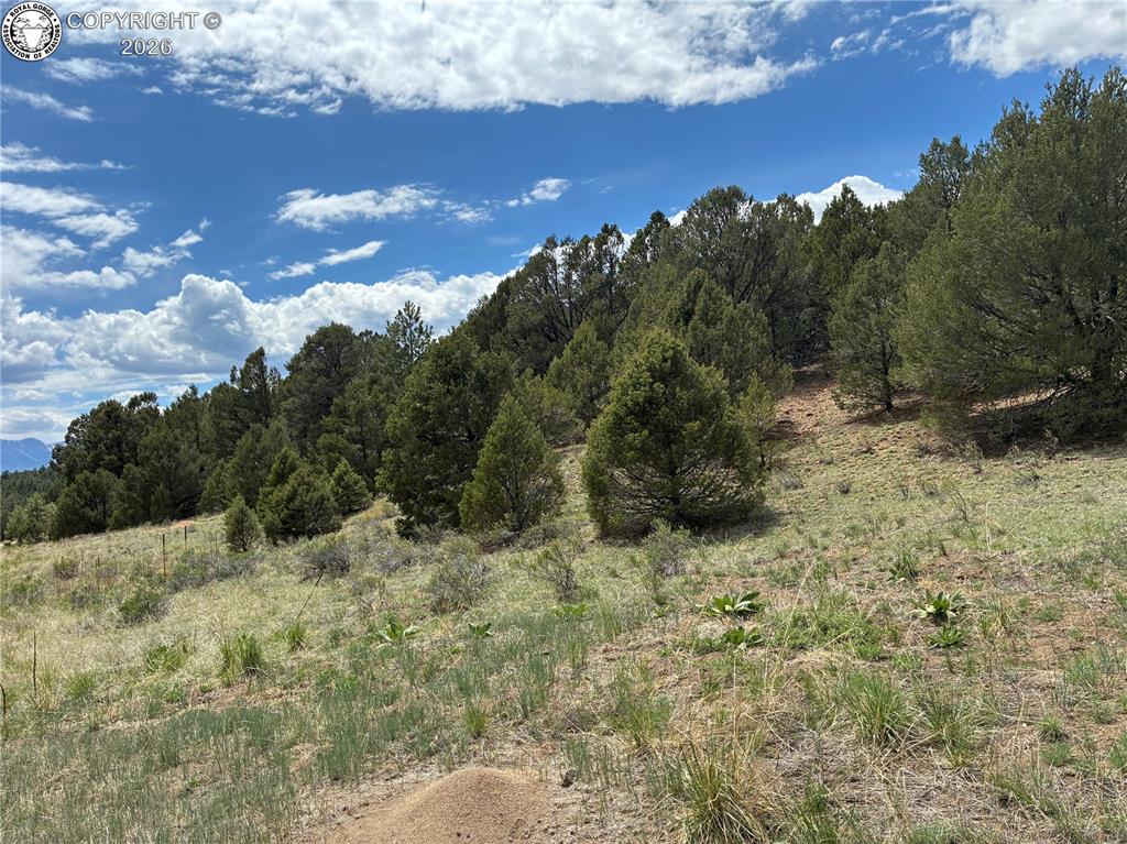 891 Driftwood Road