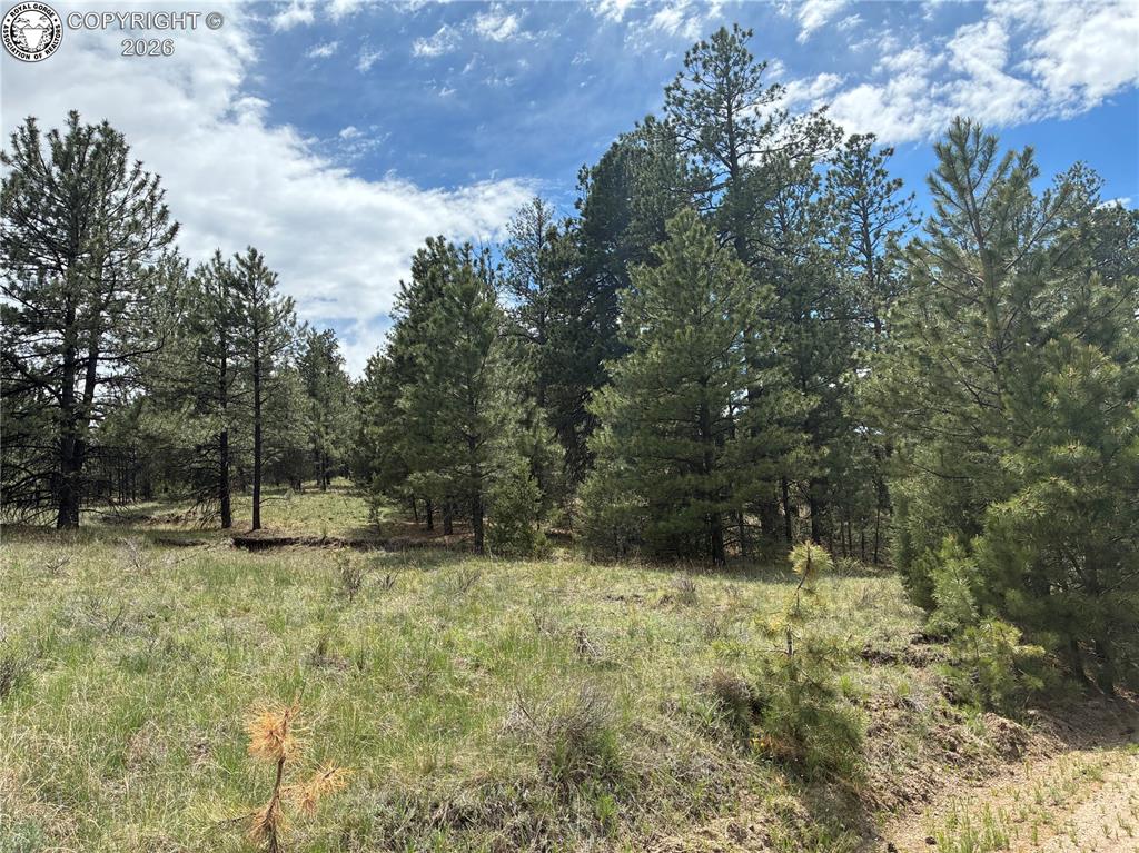 891 Driftwood Road