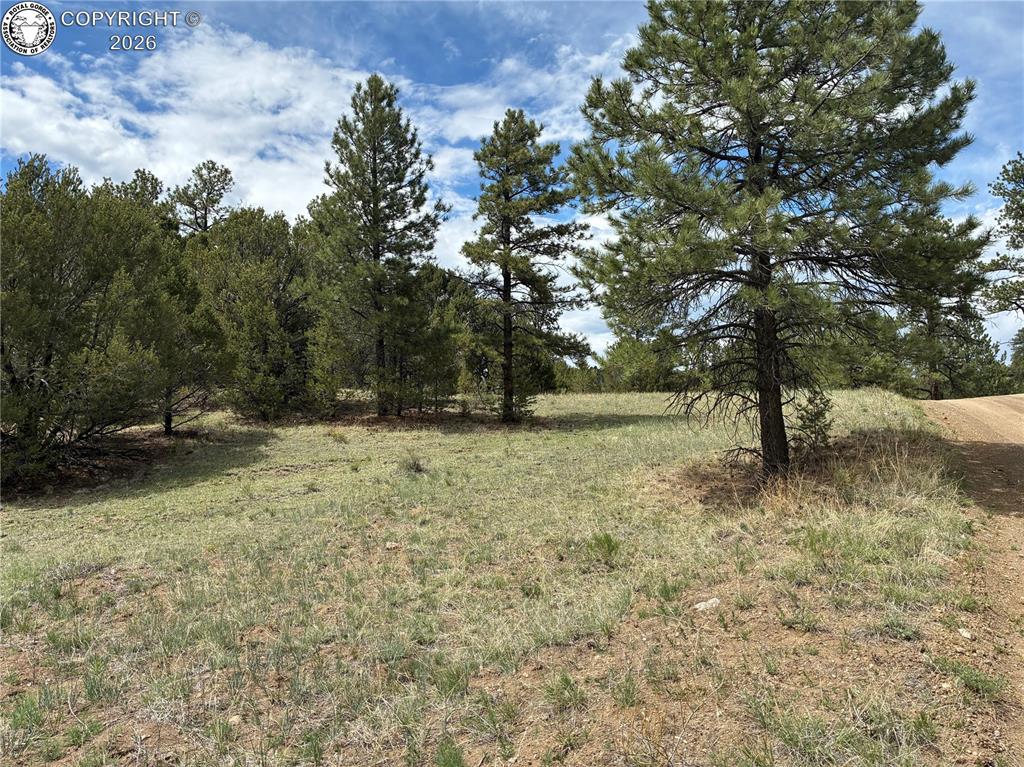 891 Driftwood Road