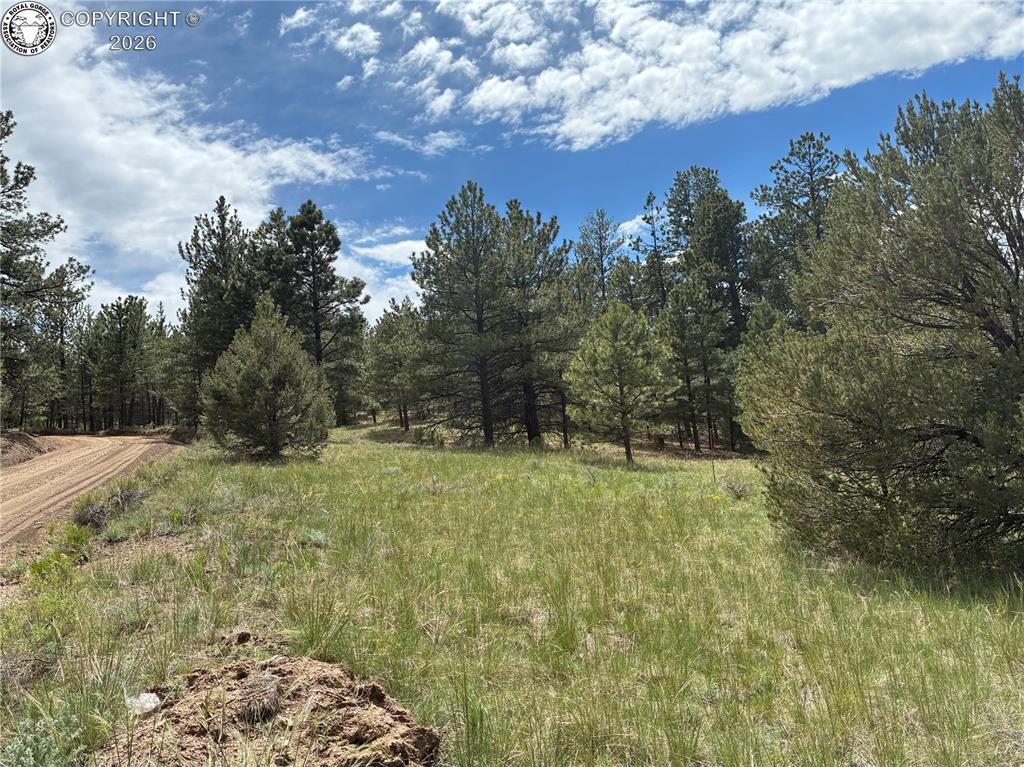 891 Driftwood Road