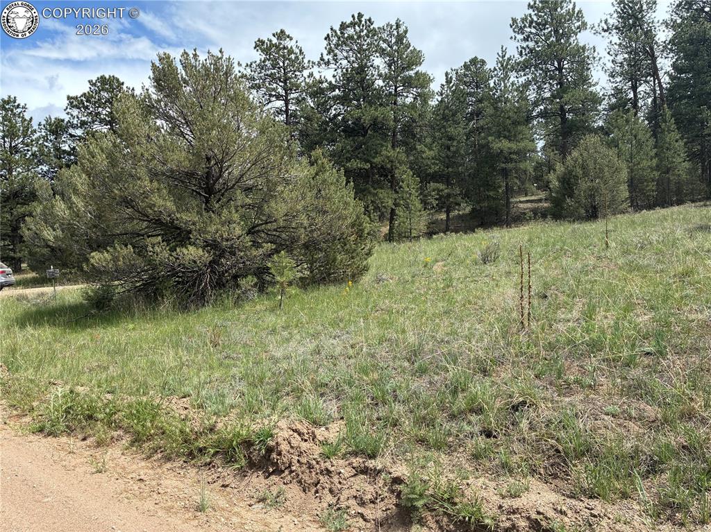 891 Driftwood Road