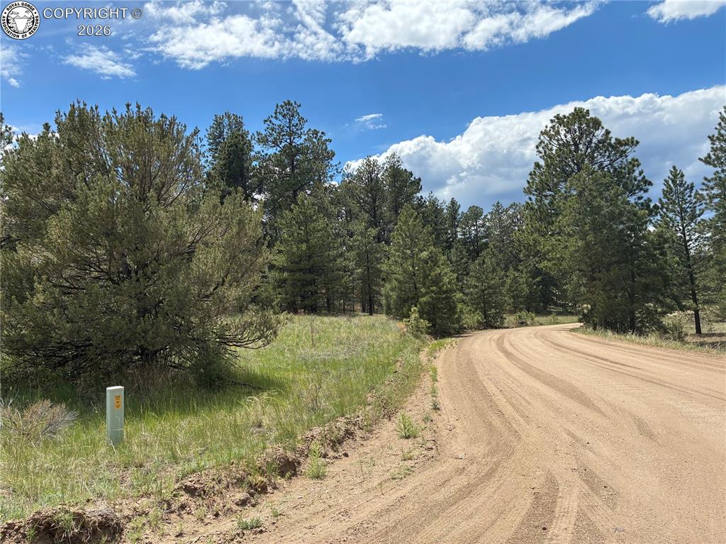 891 Driftwood Road