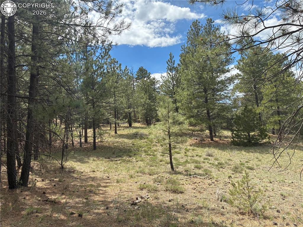 891 Driftwood Road