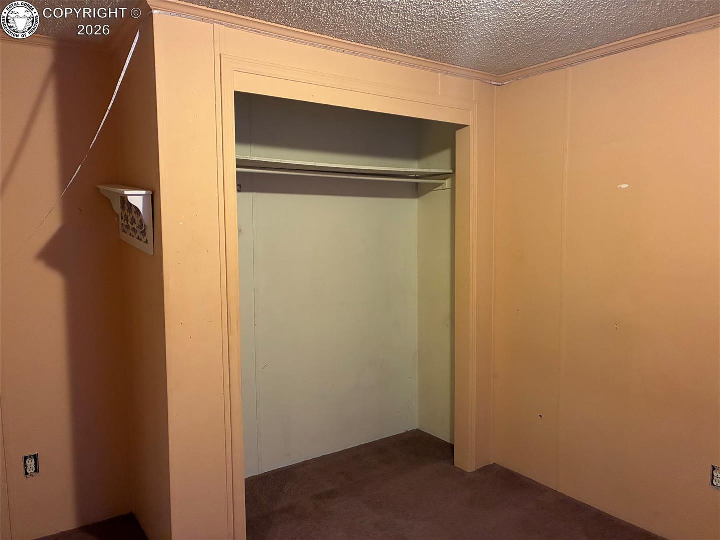 Empty carpeted room with a large open closet and peach-colored walls.