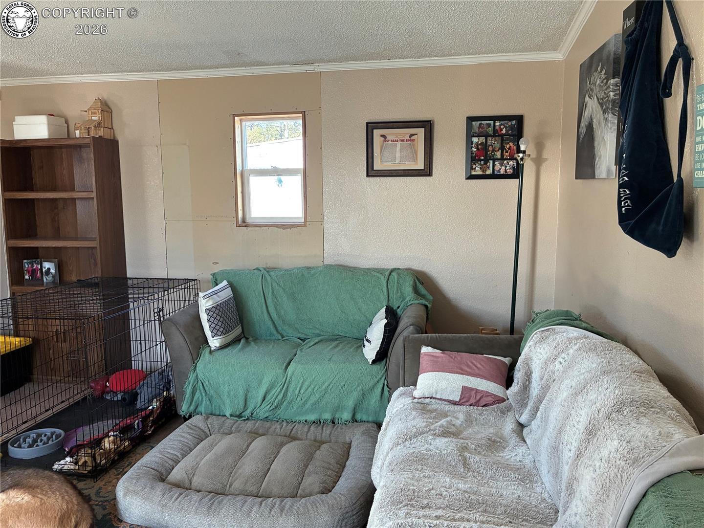 Living room with green-covered sofa, plush chairs, a small window, and a dog crate.
