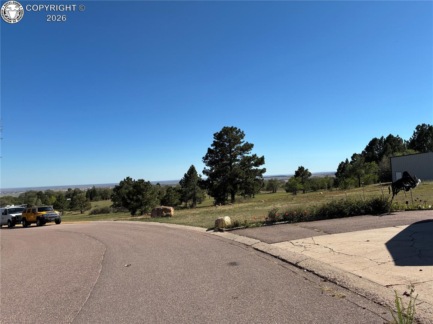 Grassy hillside with pine trees and open plains beyond a curved paved road.