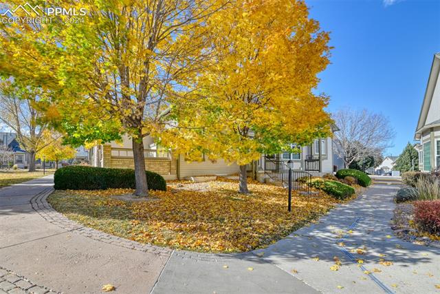 5055 Saddleback Heights