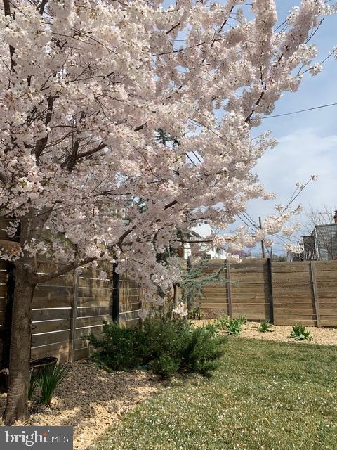 1228 ORREN STREET NE