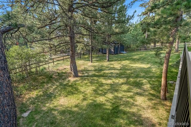 Backyard lawn shaded by mature pine trees, with a wooden fence along the edge.