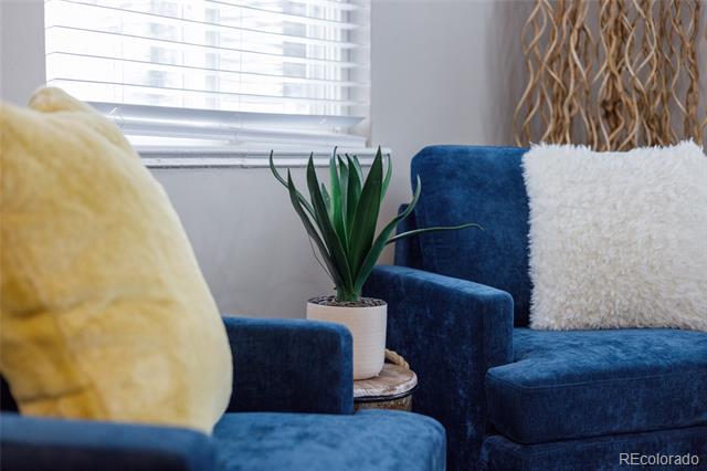 Blue living room chairs with contrasting pillows and a potted plant beside a window.