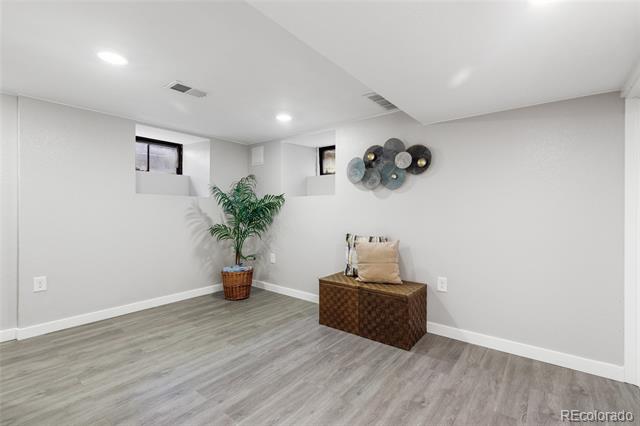 Bright finished room with gray plank flooring, high-set windows, a potted plant, and a small bench.
