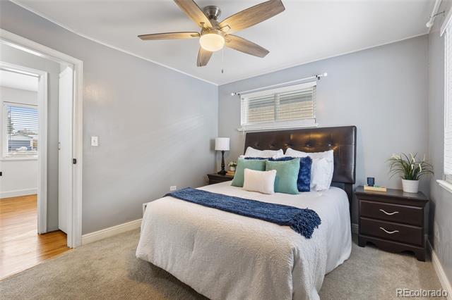 Bedroom with a dark upholstered bed, blue throw, gray walls, and a ceiling fan.