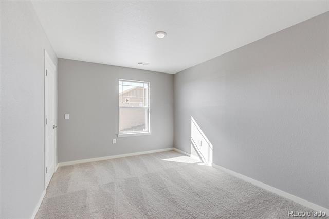 Empty carpeted room with gray walls, a single window, and sunlight across the floor.