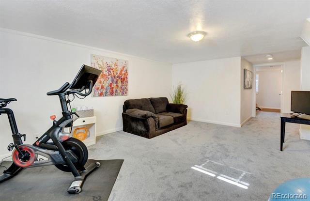 Carpeted basement recreation room with an exercise bike, dark loveseat, and colorful wall art.