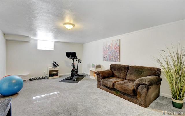 Recreation room with an exercise bike, dumbbells, blue exercise ball, and brown sofa.