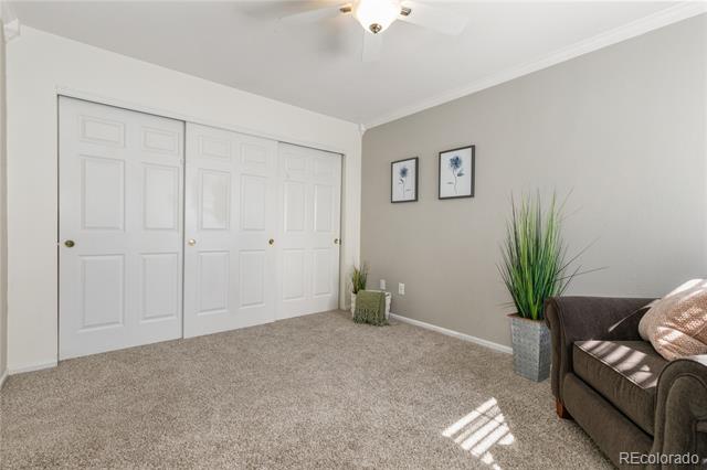Carpeted room with white paneled closet doors, botanical prints, and a tall potted plant.