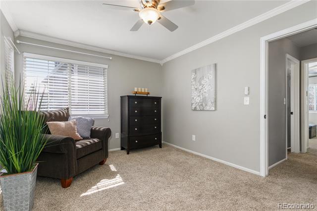 Furnished sitting room with a dark loveseat, black chest of drawers, beige carpet, and ceiling fan.