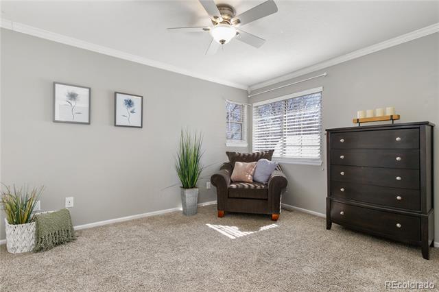 Carpeted bedroom with a dark dresser, brown armchair, and two windows with blinds.
