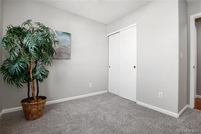 Empty carpeted room with a white sliding closet door and a potted palm beside abstract wall art.