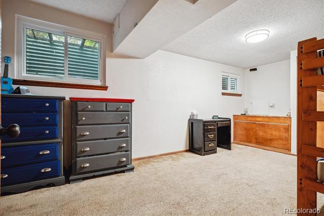 Carpeted room with several dressers, a wooden counter, and two windows.