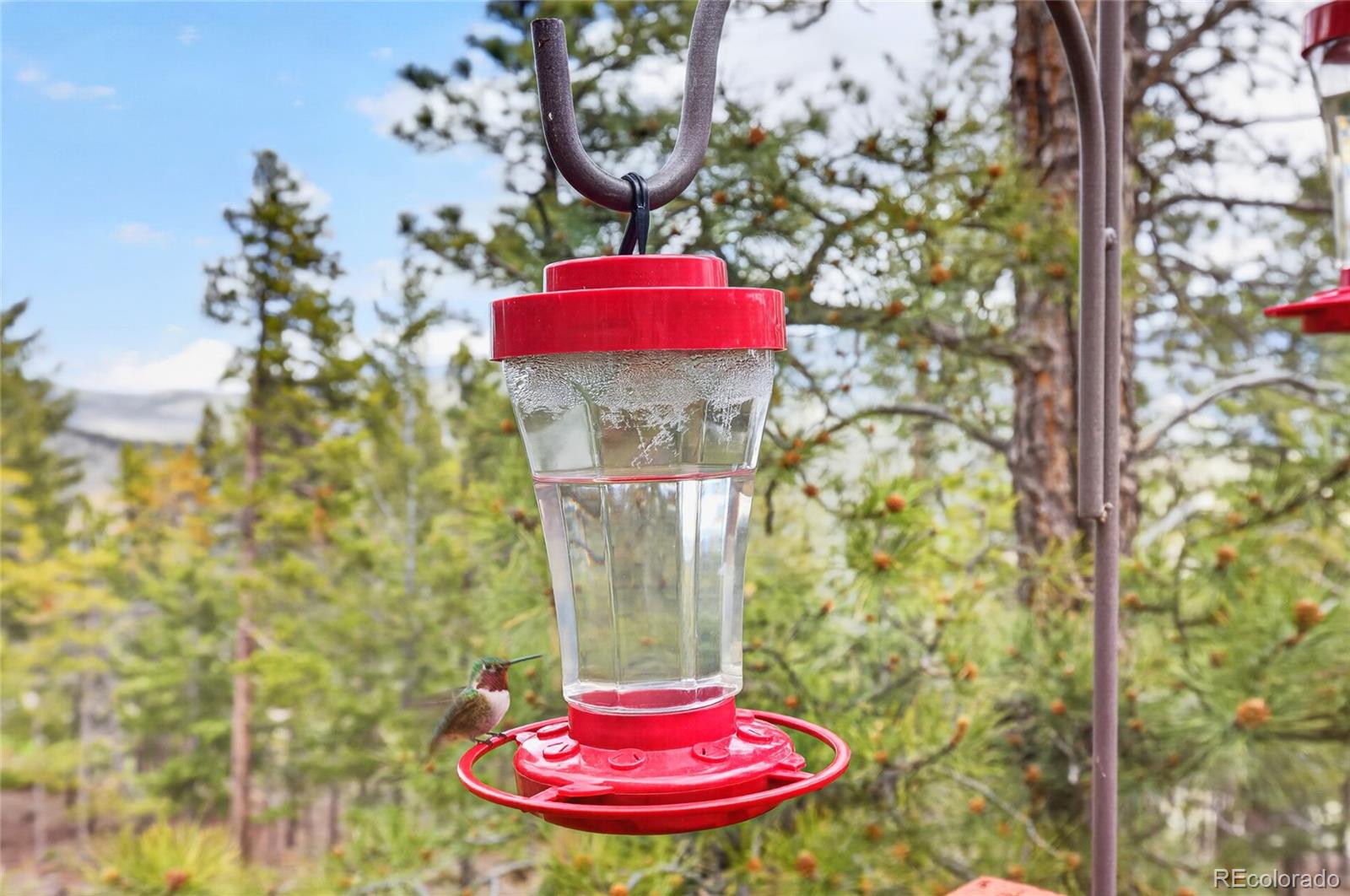 1856 Santa Fe Mountain Road