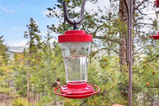 1856 Santa Fe Mountain Road